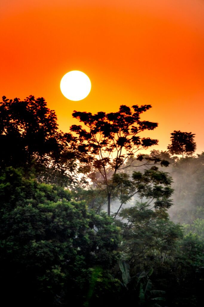 Dramatic sunset casting vibrant colors over a verdant tropical forest landscape.